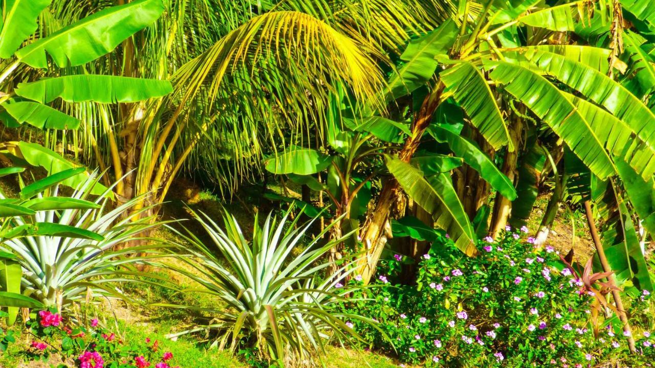 Mouggae Blues Villas Vịnh Beau Vallon Ngoại thất bức ảnh